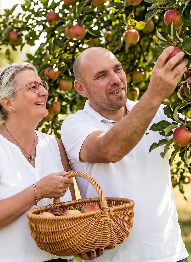 Eine ältere Frau mit einem Weidenkorb in der Hand und ein älterer Mann, der Äpfel von einem Baum pflückt – beide lächeln und genießen die Ernte in einem Obstgarten im Main-Kinzig-Kreis.